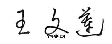 駱恆光王文蓮草書個性簽名怎么寫