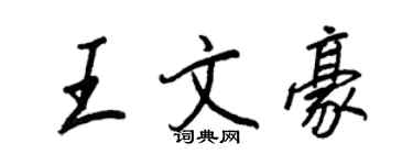 王正良王文豪行書個性簽名怎么寫
