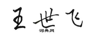 駱恆光王世飛行書個性簽名怎么寫