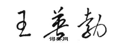 駱恆光王英勃草書個性簽名怎么寫