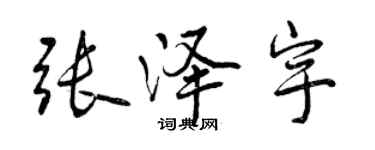 曾慶福張澤宇行書個性簽名怎么寫