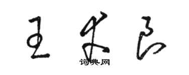 駱恆光王幸良草書個性簽名怎么寫