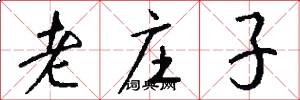 老莊子怎么寫好看