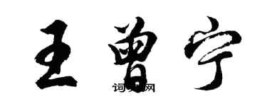 胡問遂王曾寧行書個性簽名怎么寫