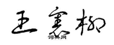 曾慶福王憲柳草書個性簽名怎么寫