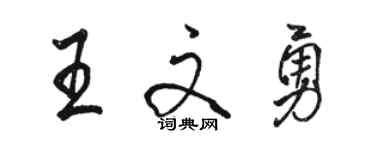 駱恆光王文勇行書個性簽名怎么寫