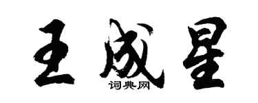 胡問遂王成星行書個性簽名怎么寫