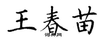 丁謙王春苗楷書個性簽名怎么寫