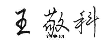 駱恆光王敬科行書個性簽名怎么寫