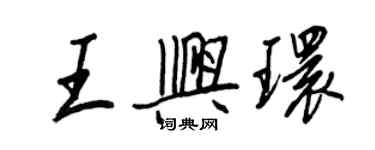 王正良王興環行書個性簽名怎么寫