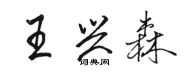 駱恆光王興森行書個性簽名怎么寫