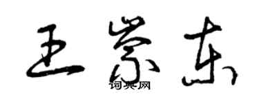 曾慶福王崇東草書個性簽名怎么寫