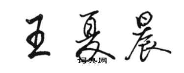 駱恆光王夏晨行書個性簽名怎么寫