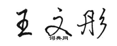 駱恆光王文彤行書個性簽名怎么寫