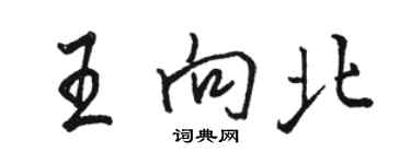 駱恆光王向北行書個性簽名怎么寫