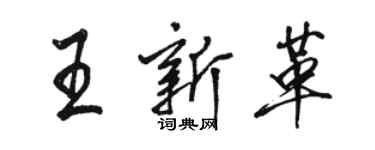 駱恆光王新革行書個性簽名怎么寫