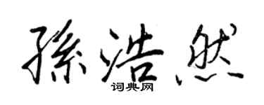 王正良孫浩然行書個性簽名怎么寫