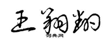 曾慶福王翔翻草書個性簽名怎么寫