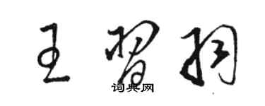 駱恆光王習羽草書個性簽名怎么寫