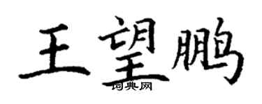 丁謙王望鵬楷書個性簽名怎么寫