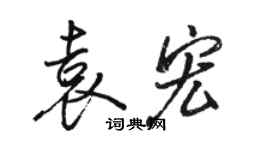 駱恆光袁宏行書個性簽名怎么寫