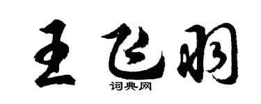 胡問遂王飛羽行書個性簽名怎么寫