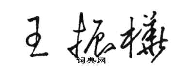 駱恆光王振樺草書個性簽名怎么寫