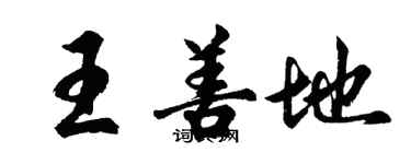 胡問遂王善地行書個性簽名怎么寫