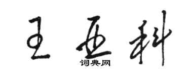 駱恆光王亞科草書個性簽名怎么寫