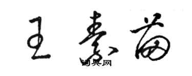 駱恆光王素苗草書個性簽名怎么寫