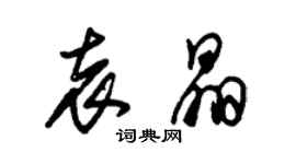 朱錫榮袁晶草書個性簽名怎么寫