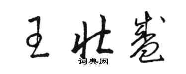 駱恆光王壯盛草書個性簽名怎么寫