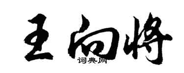 胡問遂王向將行書個性簽名怎么寫