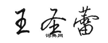 駱恆光王聖蕾行書個性簽名怎么寫