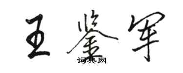 駱恆光王鑑軍行書個性簽名怎么寫