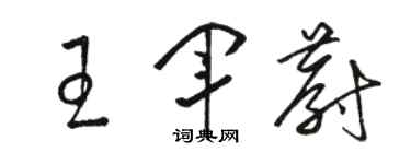 駱恆光王軍蔚草書個性簽名怎么寫