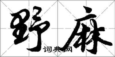 胡問遂野麻行書怎么寫