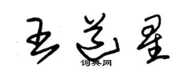 朱錫榮王道星草書個性簽名怎么寫