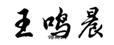 胡問遂王鳴晨行書個性簽名怎么寫