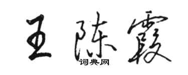 駱恆光王陳霞行書個性簽名怎么寫