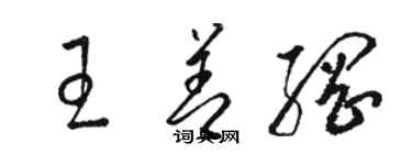 駱恆光王善綱草書個性簽名怎么寫