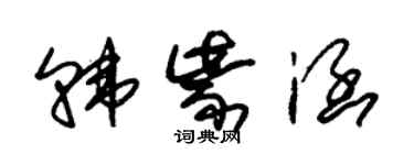 朱錫榮韓紫涵草書個性簽名怎么寫