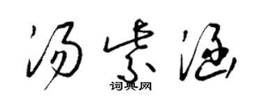 梁錦英湯紫涵草書個性簽名怎么寫
