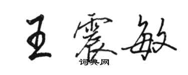 駱恆光王震敏行書個性簽名怎么寫