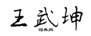 曾慶福王武坤行書個性簽名怎么寫