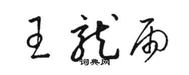 駱恆光王龍雨草書個性簽名怎么寫