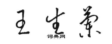 駱恆光王生蘭草書個性簽名怎么寫