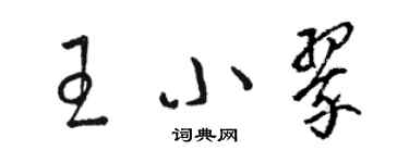 駱恆光王小翠草書個性簽名怎么寫