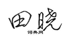 駱恆光田曉行書個性簽名怎么寫