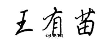 王正良王有苗行書個性簽名怎么寫